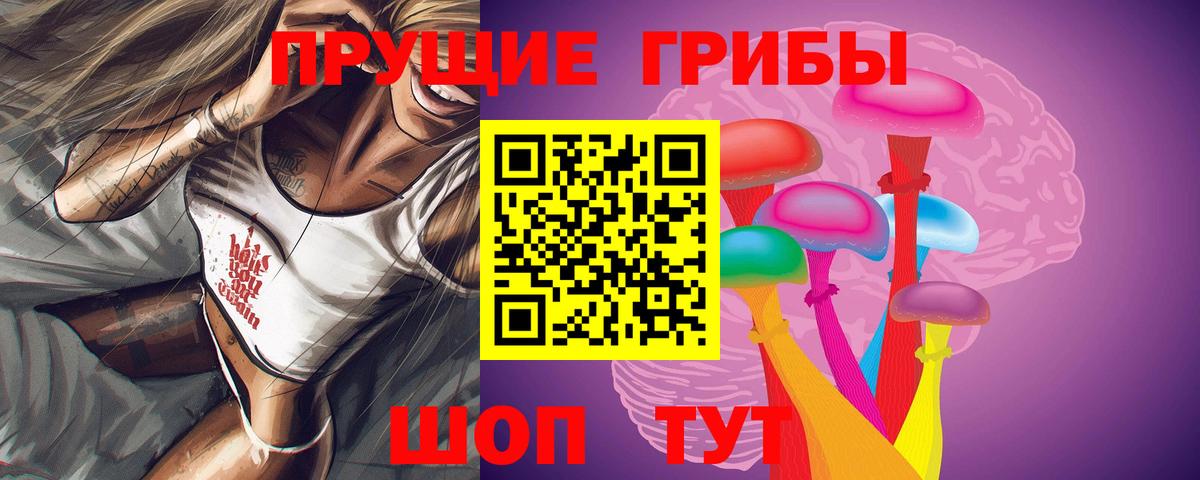 Королёв  Псилоцибиновые грибы прущие грибы  Вход с VPN 