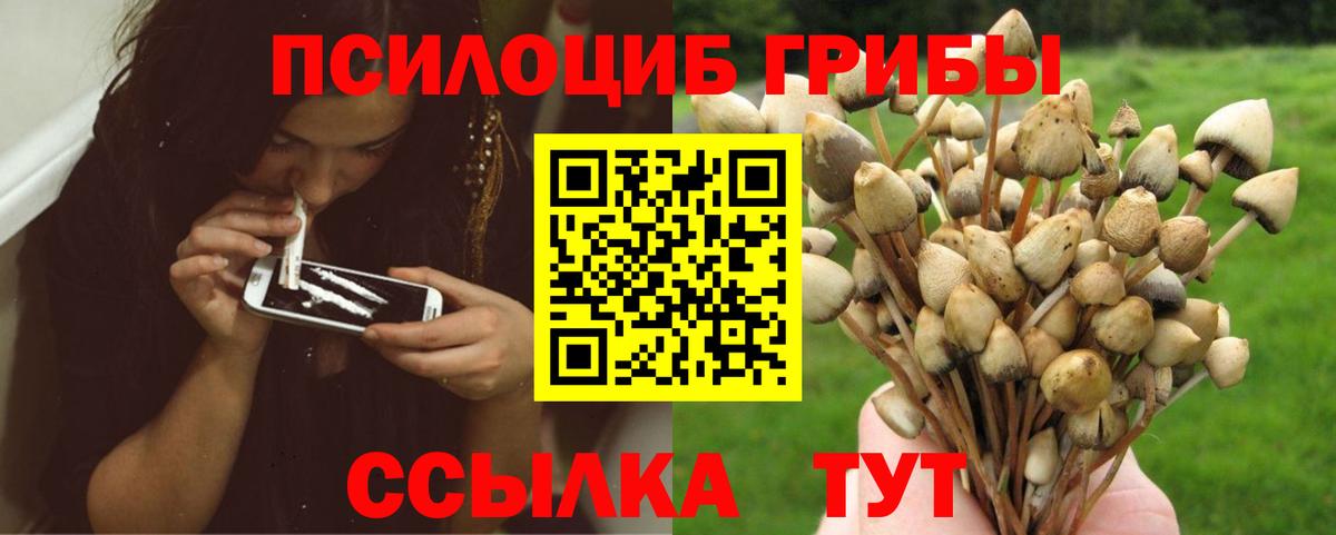 Псилоцибиновые грибы прущие грибы Королёв